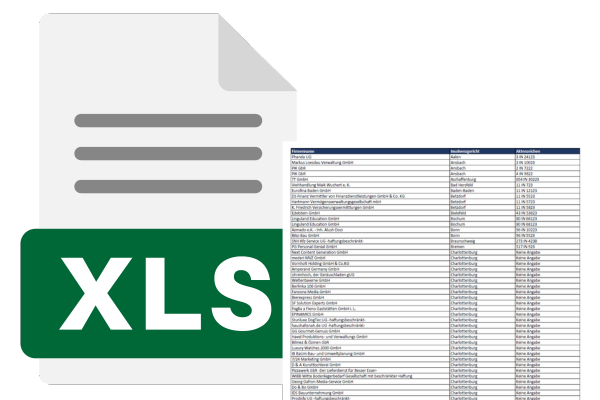 Insolvenzmeldungen - Liste Unternehmen Excel Format
